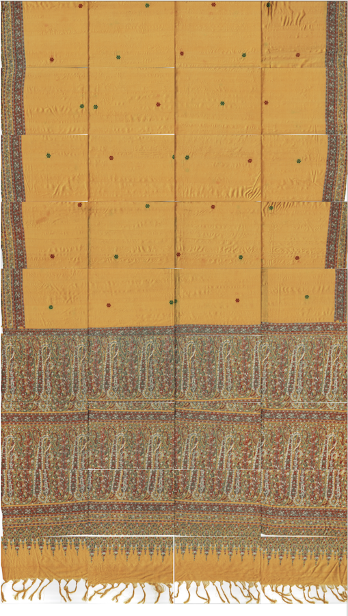 Scans of the send of a bright yellow silk sari are pieced together into a mis-registered patchwork. The sari has green and red dots on the body. Intricate patterns in red, white, and green are printed in thin borders on the left and right and a thick border ending in fringe on the bottom. My mother wore this sari to her graduation from medical school. Bhavani Srinivas