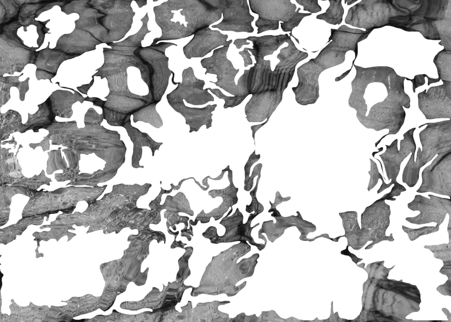 An altered image shows the texture of an oyster shell with various cutouts which are determined by the form and color of the oyster shell. The positive space that remains shows the inside of an oyster shell in black and white. The negative space formed by the excised regions is white; these regions are randomly spaced. The middle of the composition is filled by one such large white cutout. Drew Pugliese