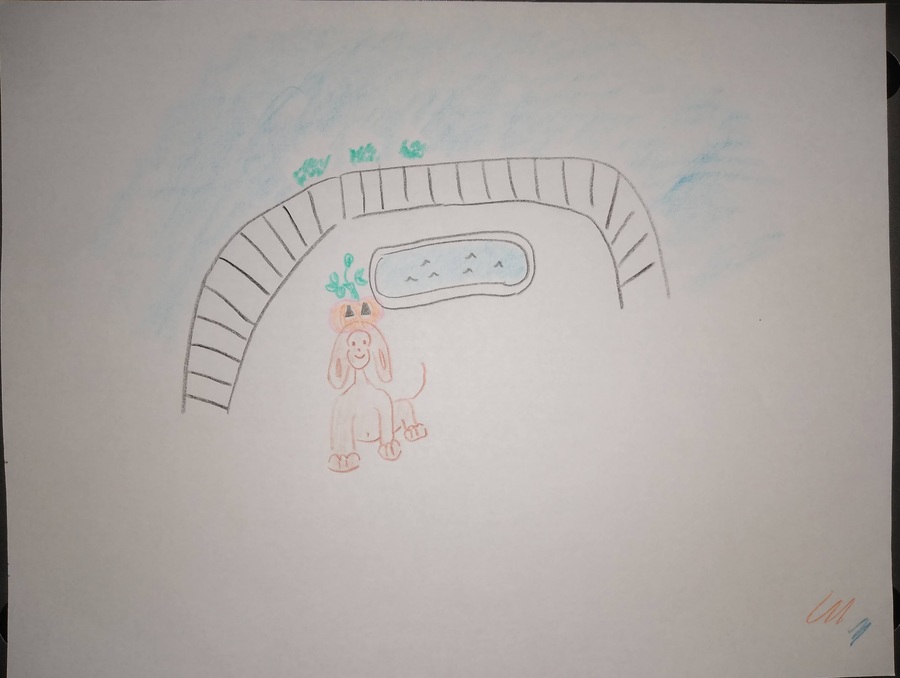 This is an image of a drawing made with colored pencils. A brown dog with long ears sits in front of a pool. The dog has a pumpkin on its head. A white fence is surrounding the dog and the pool. The sky is blue. The dog is happy. Jess Ramirez