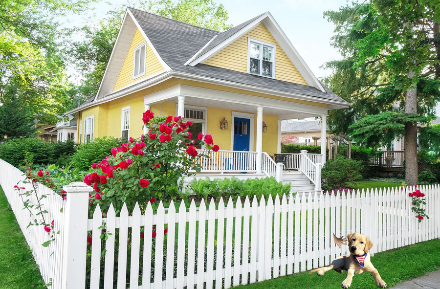 A yellow house surrounded by a white picket fence. Next to the fence, on the outside of the yard, lies a yellow puppy that has been photoshopped into the picture of the house. A hand is also photoshopped into the image in such a way that it appears to be sticking out from the fence and petting the dog. Jess Ramirez