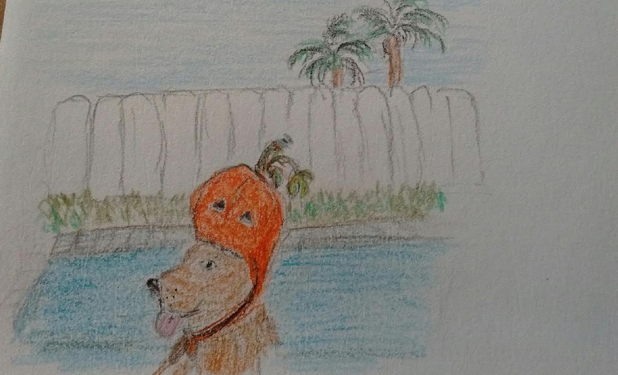 This is an image of a drawing.) A light brown dog sits in front of a pool. The dog has a pumpkin hat wrapped around its head and is sticking its tongue out. Behind the pool is a white fence. Palm trees can be seen sticking out from behind the fence. The sky is blue. The dog is happy. Jess Ramirez