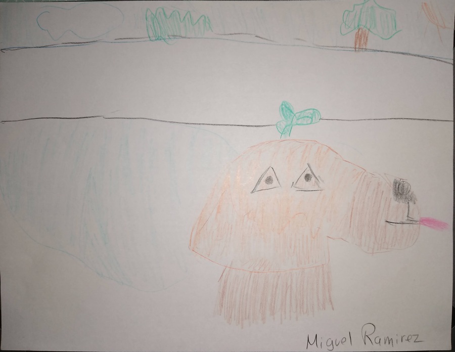 This is an image of a drawing made with colored pencils. A brown dog sits in front of a pool. It is sticking its tongue out and is wearing a pumpkin hat that covers most of its face. Surrounding the dog and the pool is a white wall. Behind the wall are some green trees, the blue sky, and the bright sun. Jess Ramirez