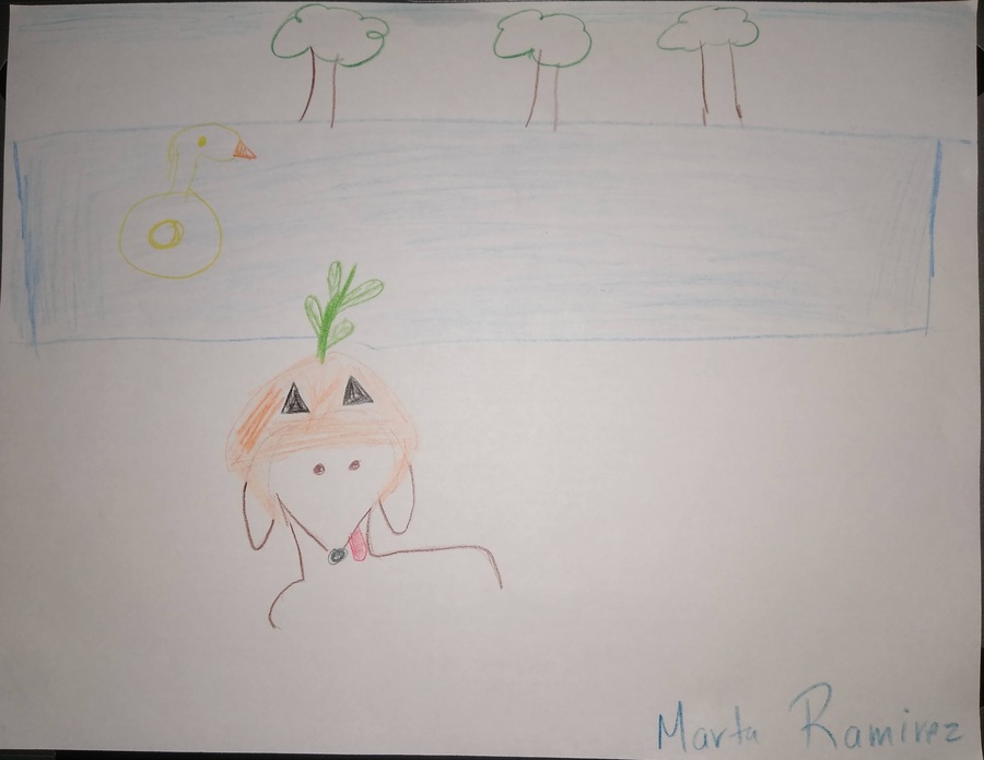 This is an image of a drawing made with colored pencils. A pointy, brown dog is wearing a pumpkin hat and sticking its tongue out. The dog is standing in front of a rectangular pool. There is a yellow duck pool floaty in the pool. The sky is blue. Jess Ramirez