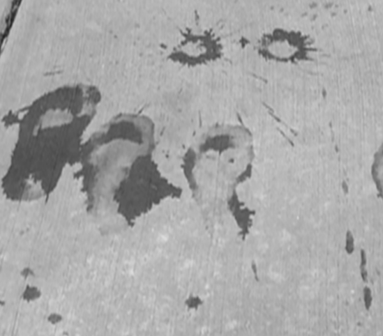 3 left foot prints marked with water are pictured right in a line. Two circular rings are shown up and to the right of the 3 left feet prints. Water drips speckle the concrete too. Kara Steele