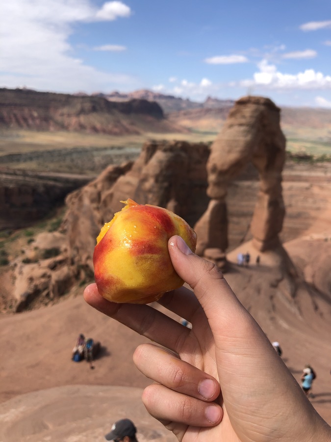 The image shows a view of the delicate arch in Moab, Utah, but the image is blurred out behind a hand holding a nectarine. The nectarine is half-eaten and you can make out that the juice has gotten onto the fingers of the one consuming the fruit. The nectarine's yellow and reddish, orange hues and the bright blue sky complement one another especially against the primarily brown, claying colors of the environment. Kara Steele