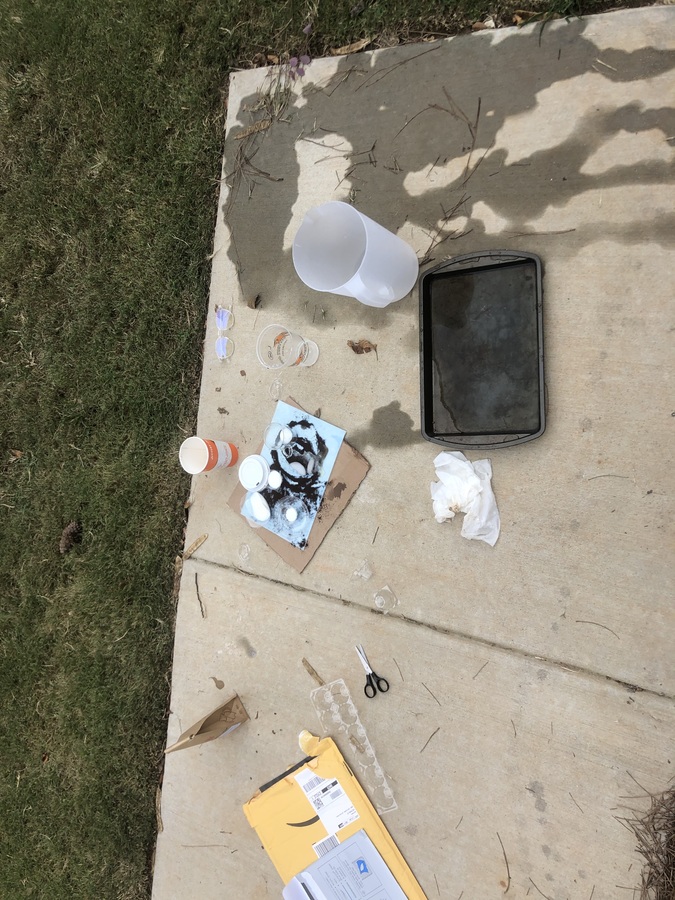 A concrete sidewalk is pictured from above. It is surrounded by a lush lawn. Strewn across the sidewalk are an amazon prime envelope, a plastic egg carton, scissors, cardboard, wet paper towels, a pan filled with some water, an empty pitcher, and a pile of plastic and paper cups and lids. Clearly some of the water from the pitcher or pan has spilled on the sidewalk as there are streaks of water evaporating in the gentle sun. Kara Steele