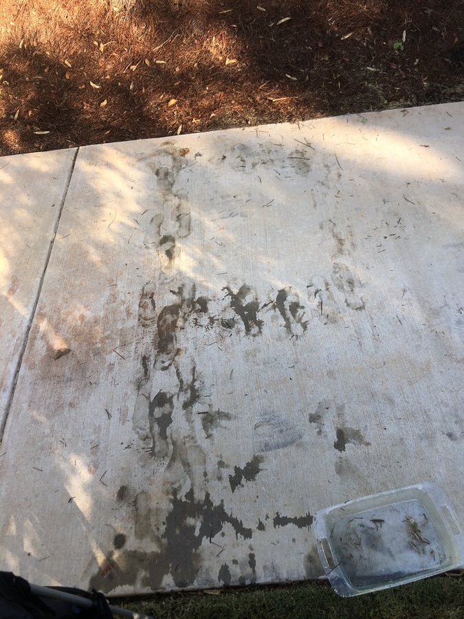 A concrete driveway is pictured from above from the view of a human standing right off of the drive way. In the bottom right corner of the image a glass pan holds some water. Footprints made with water are visible on the driveway and vaguely looks of a P. Some of the footprints are darker and some are lighter; some have evaporated more and some haven't. The light sneaks through the trees and breaks up the cloudy shadows. Kara Steele