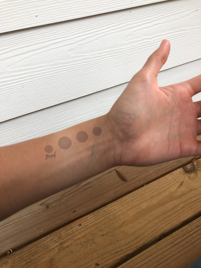 A human forearm and hand is shown in an open position with the palm and inside of the wrist in view. Above the arm you can see the white siding of a house and below the arm you can see the wooden panels of the deck. 4 translucent circles are visible on the wrist each of a slightly different size. The first circle has the caption <i>Food<i> underneath the circle. Kara Steele