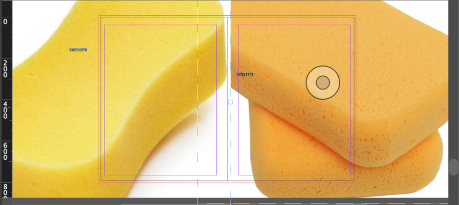 Two enlarged images of yellow sponges are roughly placed on each page of a spread. The image frames, margin and bleed lines, document ruler on the left, and scrolling bar on the right are visible. Megan Pai